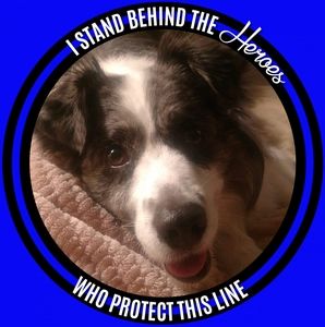 Meet your Posher, Carolyn